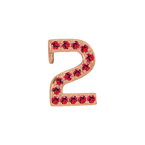 Ruby + 14k Rose Gold Number Charm