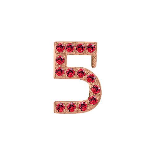 Ruby + 14k Rose Gold Number Charm