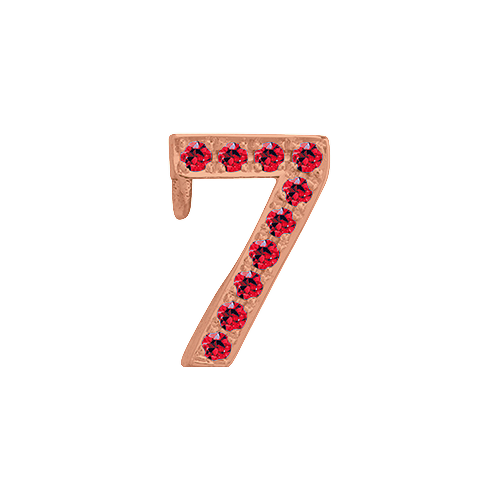 Ruby + 14k Rose Gold Number Charm