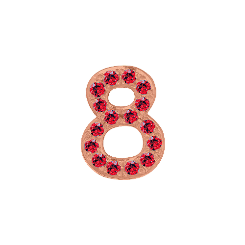 Ruby + 14k Rose Gold Number Charm
