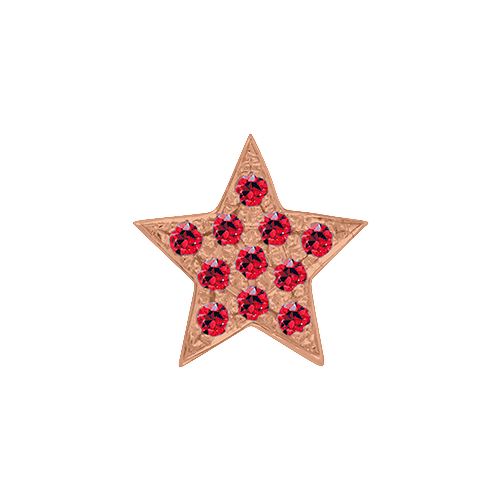 Ruby + 14k Rose Gold Emoji Charm