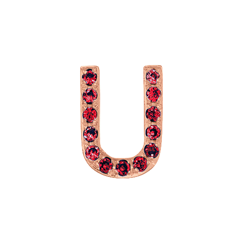 Ruby + 14k Rose Gold Letter Charm