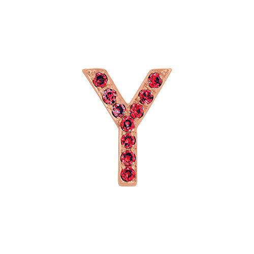 Ruby + 14k Rose Gold Letter Charm