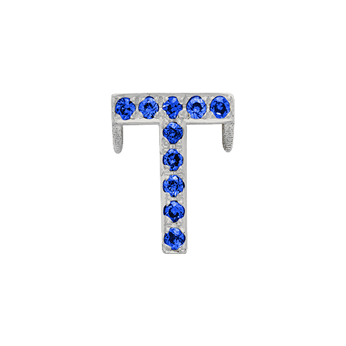 Blue Sapphire + 14k White Gold Letter Charm