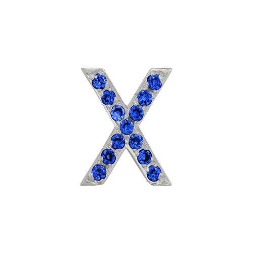 Blue Sapphire + 14k White Gold Letter Charm