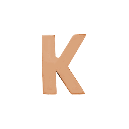 14k Rose Gold Letter Charm