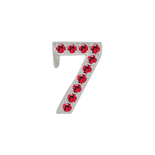 Ruby + 14k White Gold Number Charm