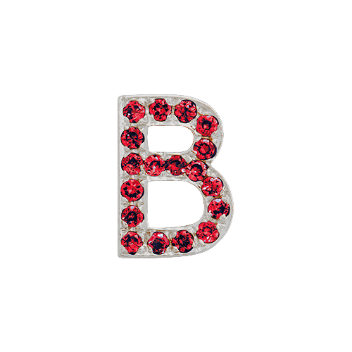 Ruby + 14k White Gold Letter Charm