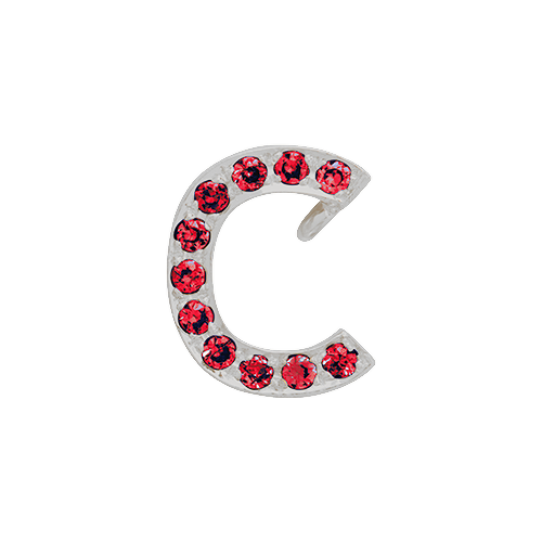 Ruby + 14k White Gold Letter Charm