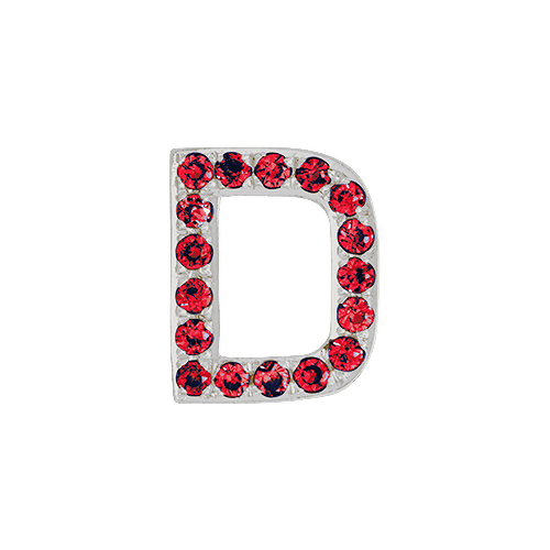 Ruby + 14k White Gold Letter Charm