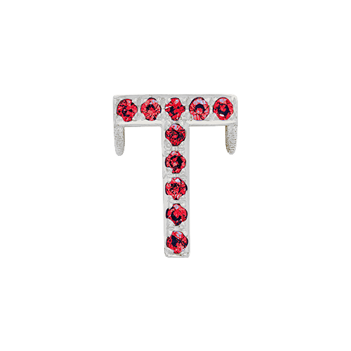 Ruby + 14k White Gold Letter Charm
