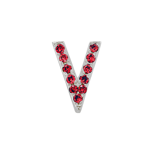 Ruby + 14k White Gold Letter Charm