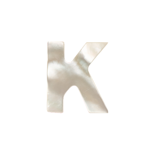 Mother of Pearl Letter Charm