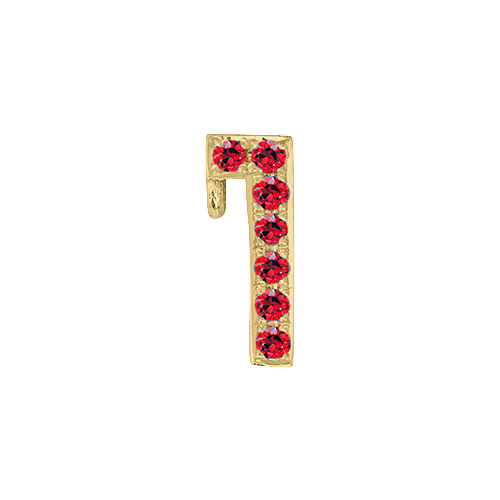 Ruby + 14k Yellow Gold Number Charm