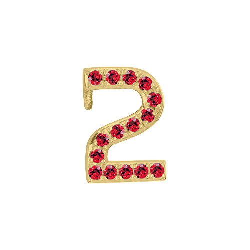 Ruby + 14k Yellow Gold Number Charm
