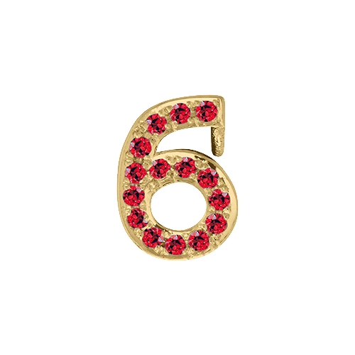 Ruby + 14k Yellow Gold Number Charm