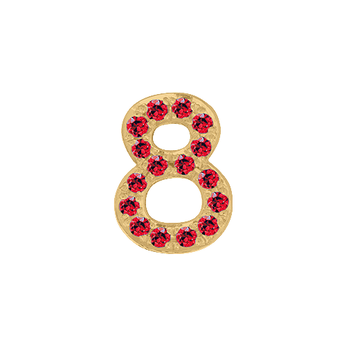 Ruby + 14k Yellow Gold Number Charm