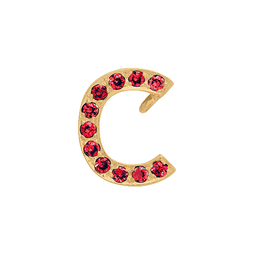 Ruby + 14k Yellow Gold Letter Charm
