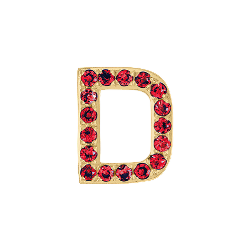Ruby + 14k Yellow Gold Letter Charm