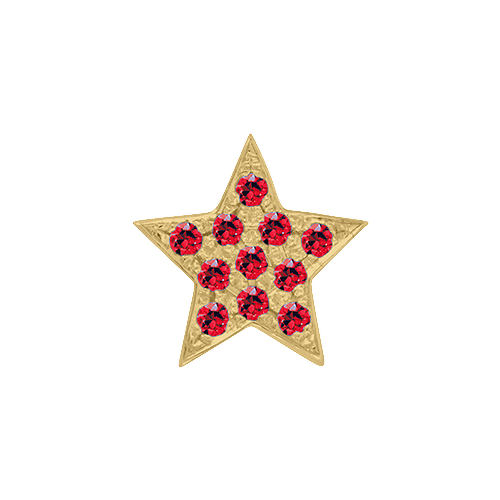 Ruby + 14k Yellow Gold Emoji Charm