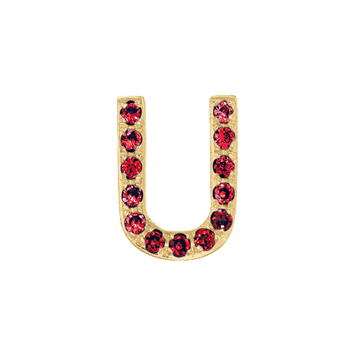 Ruby + 14k Yellow Gold Letter Charm