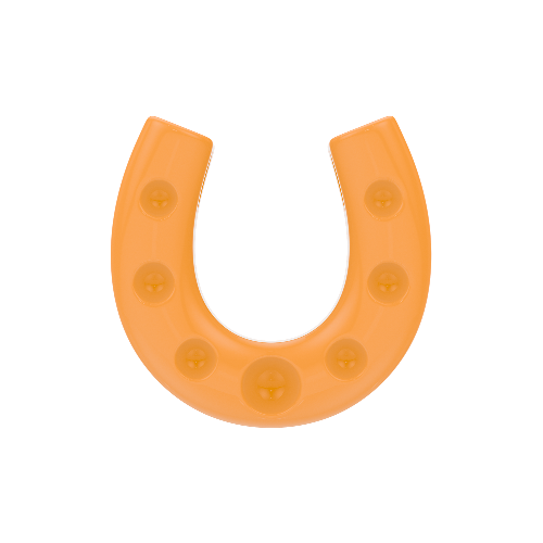 Horseshoe Resin Charm