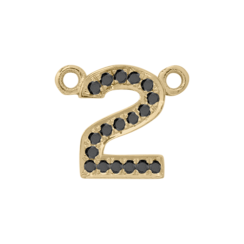 Black Diamond + 14k Yellow Gold Number Charm