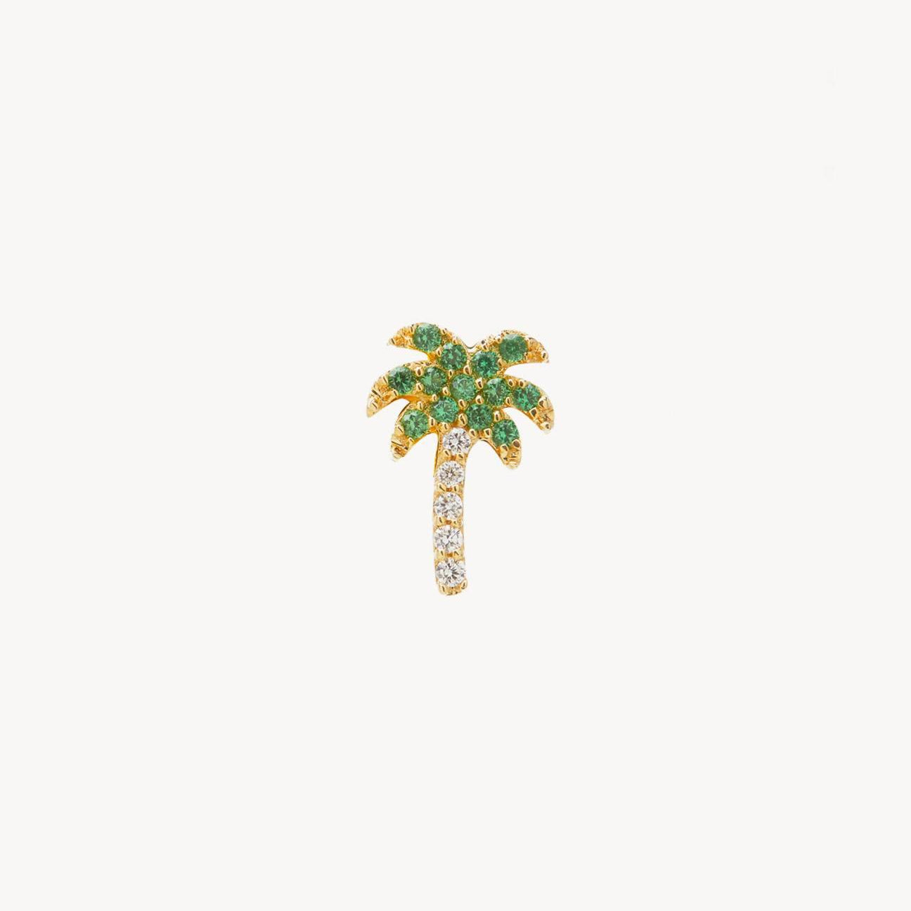 Rocky's Palm Tree Stud - Roxanne First